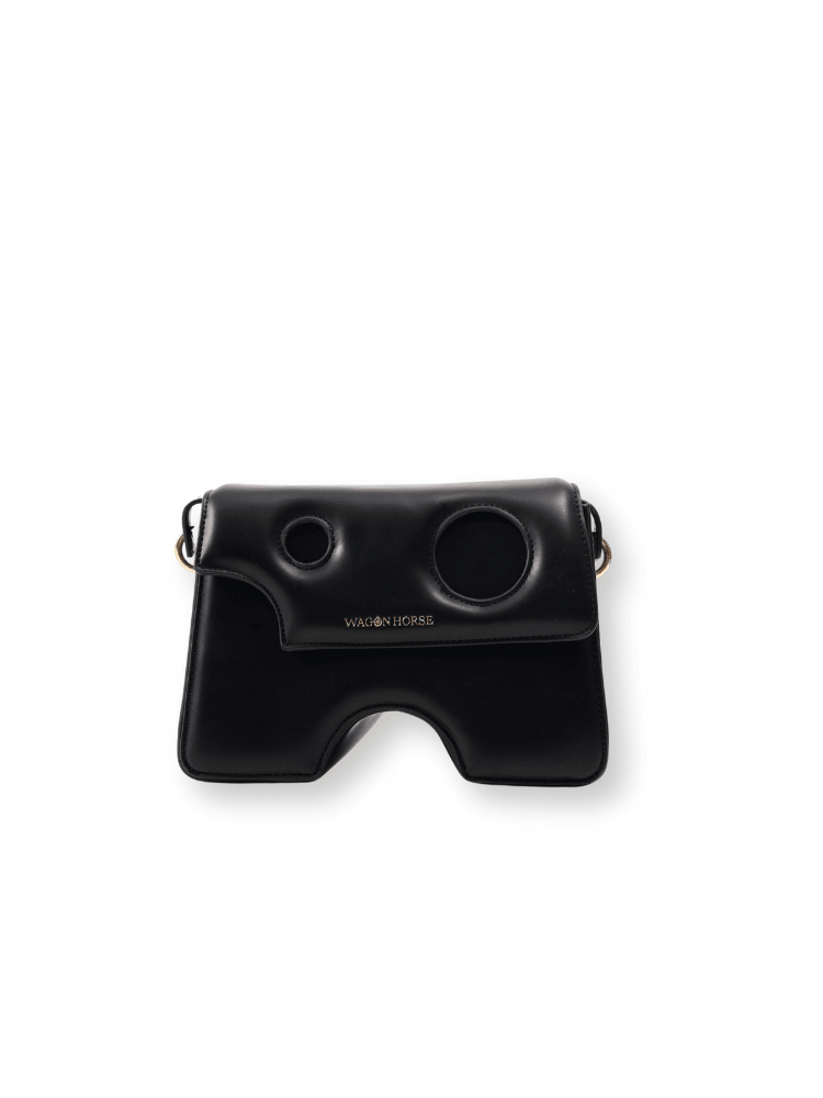 Falabella Noir Bag