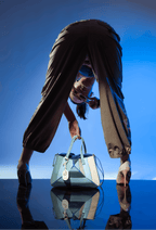 Prism Bag