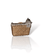 Pomeranian Hazel Clutch