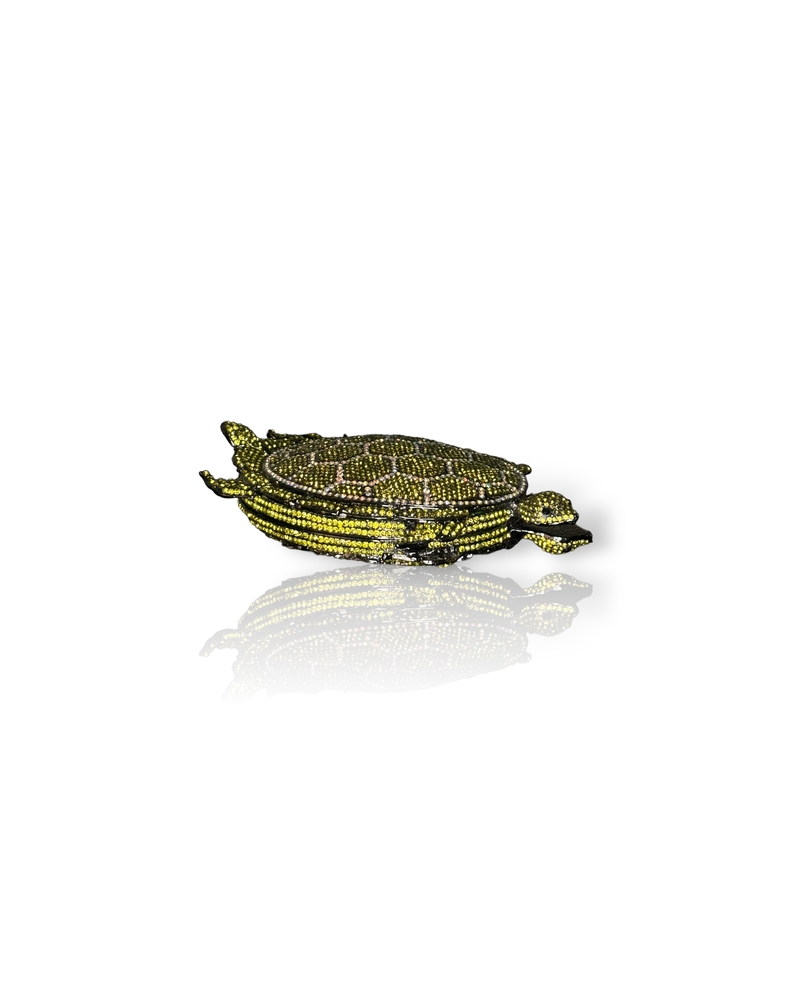 Turtle Olive