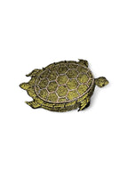 Turtle Olive Clutch - Wagon Horse