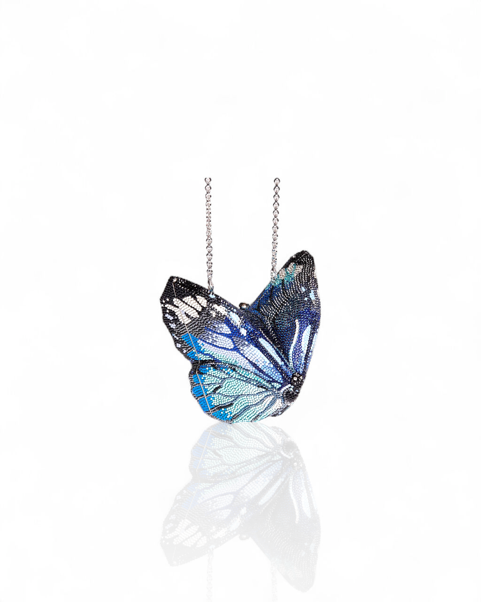 Butterfly Morpho