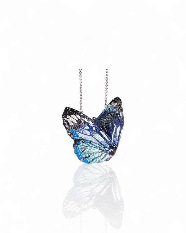 Butterfly Morpho