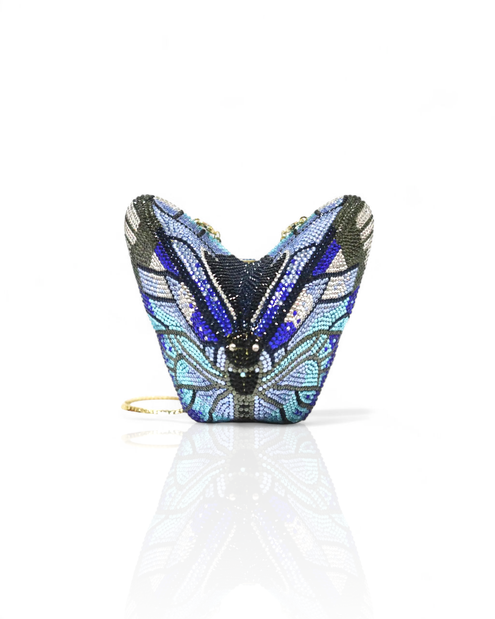 Butterfly Morpho