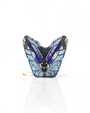 Butterfly Morpho